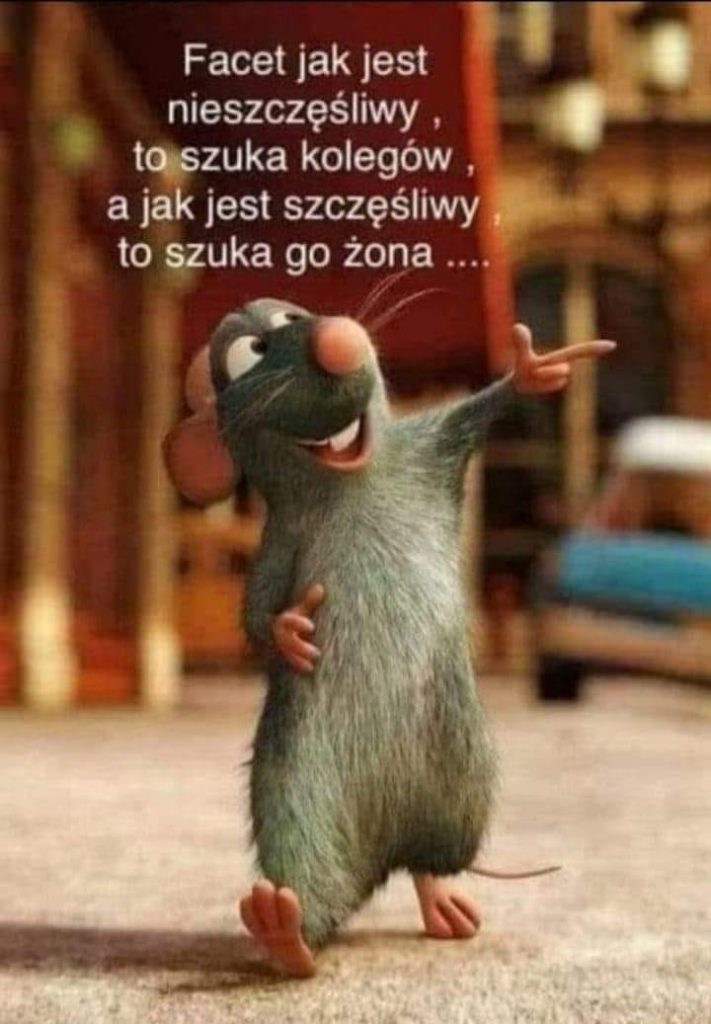 Szczur żartuje o facetach